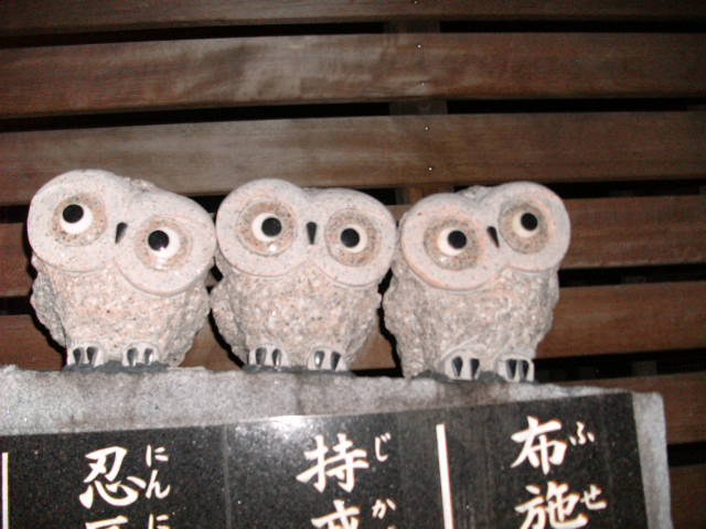 tsurugaoka_rocky-owls-three.jpg